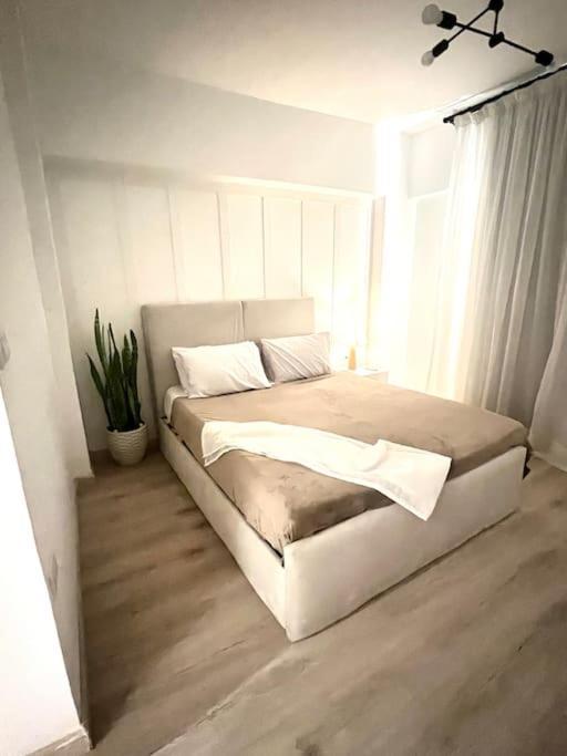 Apartment Degla *